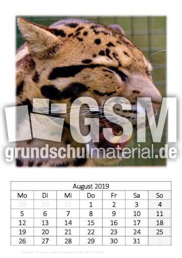 August_Nebelparder_1.pdf